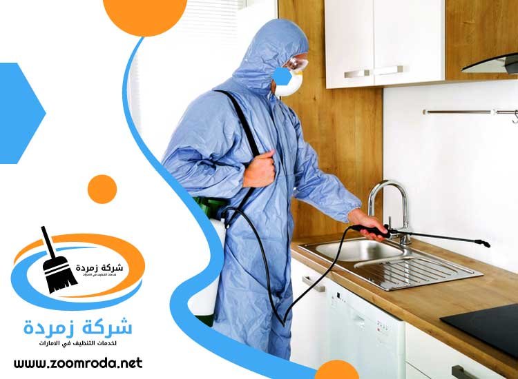 شركة مكافحة حشرات في الضاحية