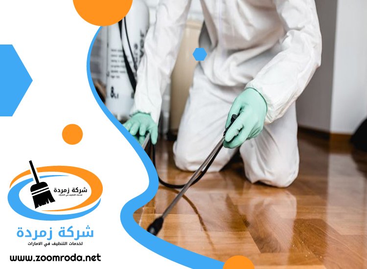 شركة مكافحة حشرات في البدع