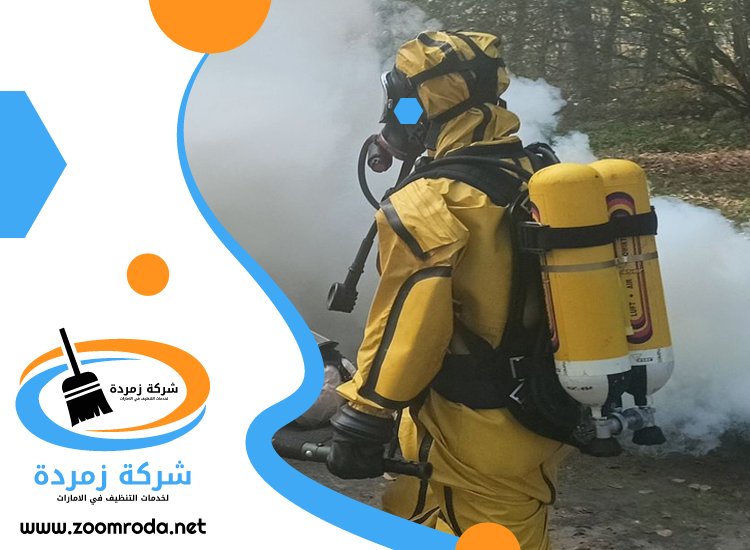 شركة مكافحة حشرات في ند الشبا