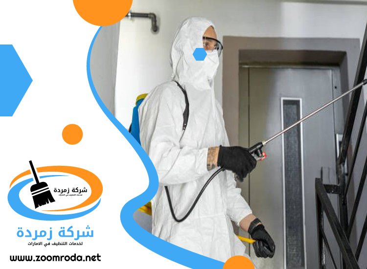 شركة مكافحة حشرات في مردف