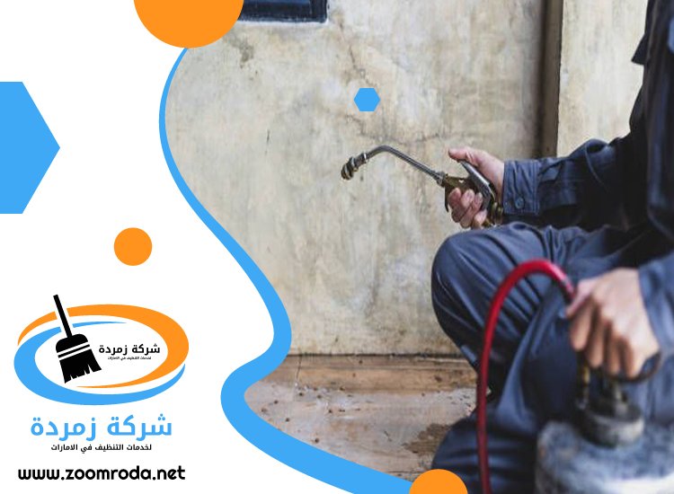 شركة مكافحة حشرات في مردف