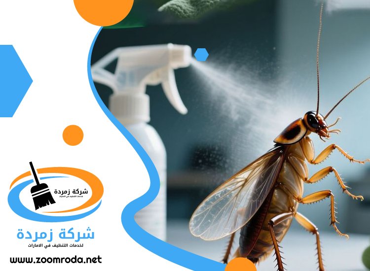 شركة مكافحة حشرات في زعبيل