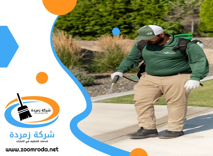 شركة مكافحة حشرات في ام سقيم