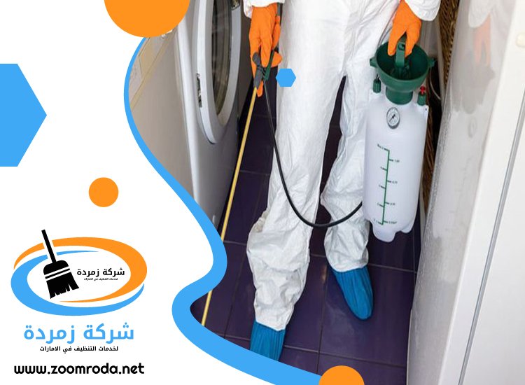 شركة مكافحة حشرات في زعبيل