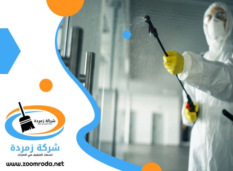 شركة مكافحة حشرات في ام سقيم