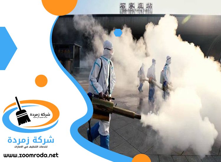 شركة مكافحة حشرات في داون تاون