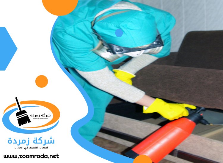 شركة مكافحة حشرات في داون تاون