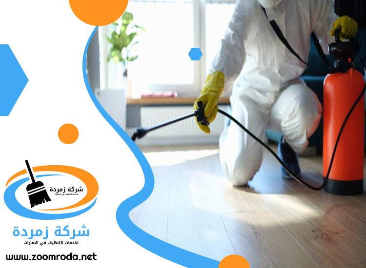 شركة مكافحة حشرات في محيصنة