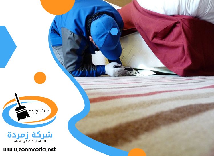 شركة مكافحة حشرات في ديرة