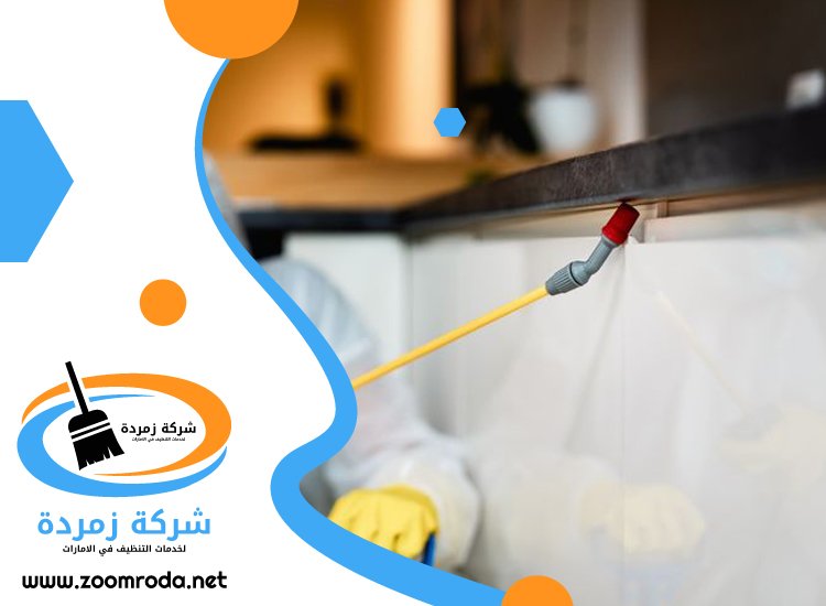 شركة مكافحة حشرات في بالميرا