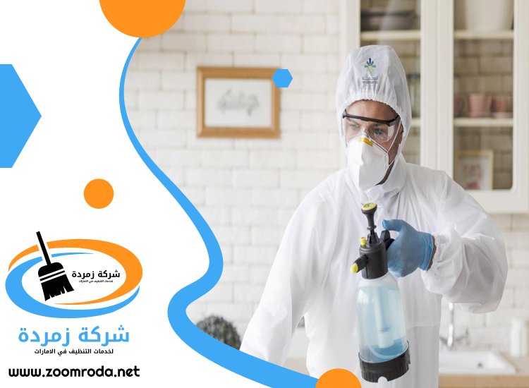 شركة مكافحة حشرات في ديرة