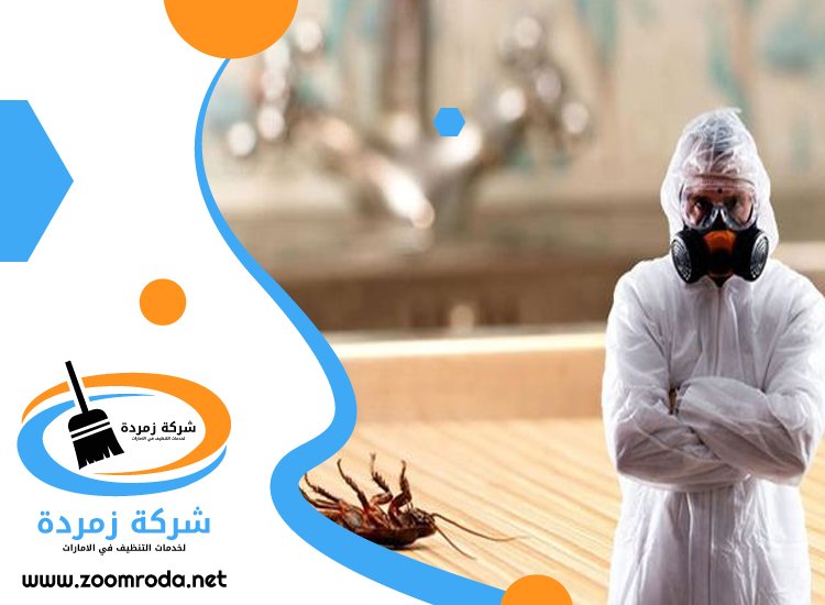 شركة مكافحة حشرات في بالميرا