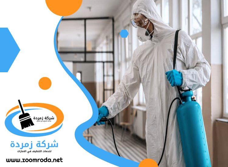شركة مكافحة حشرات في جميرا