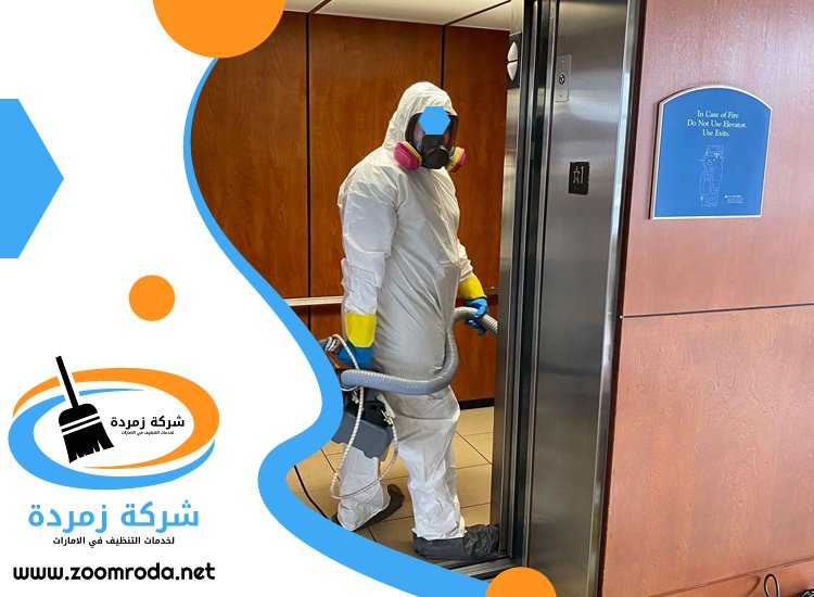 شركة مكافحة حشرات في مارينا