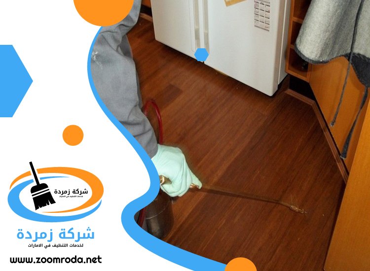 شركة مكافحة حشرات في لاند