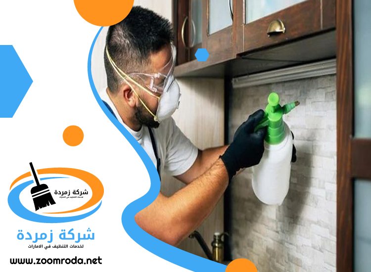 شركة مكافحة حشرات في ريم