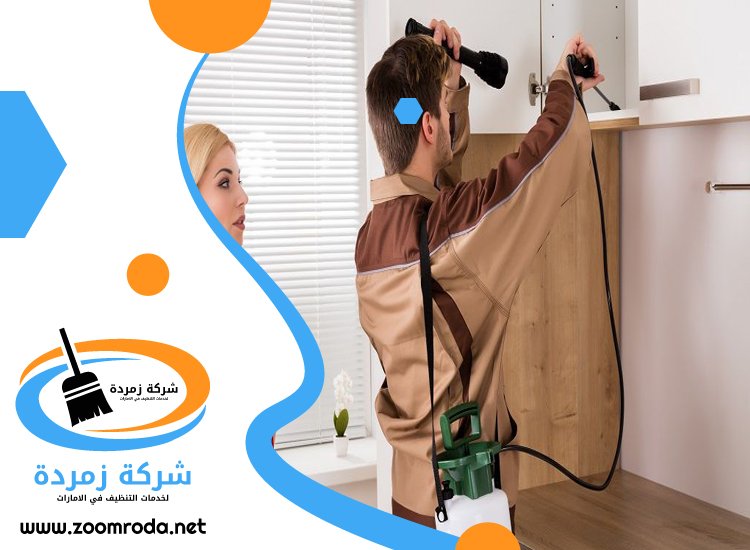 شركة مكافحة حشرات في ريم