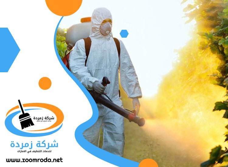 شركة مكافحة حشرات في ريم