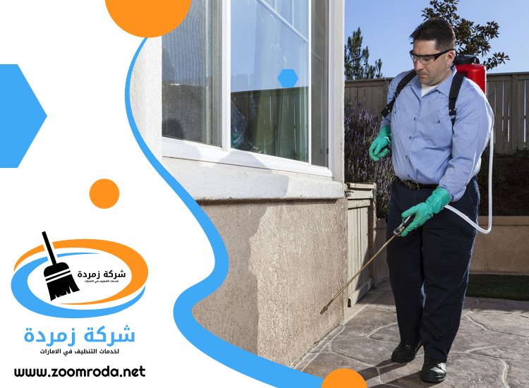 شركة مكافحة حشرات في أم سقيم