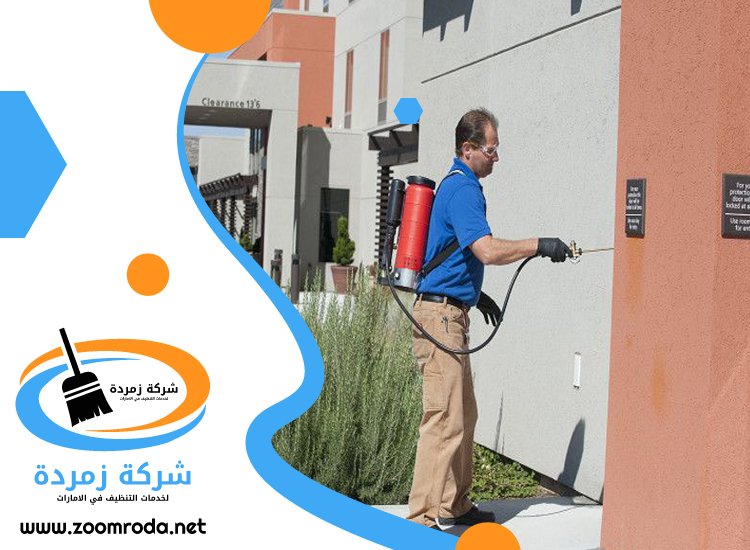 شركة مكافحة حشرات في أم سقيم