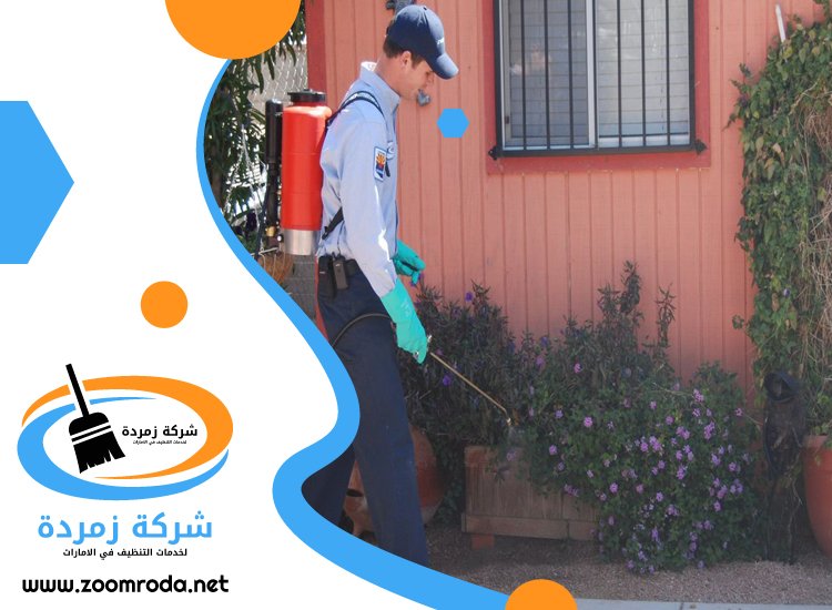 شركة مكافحة حشرات في أم سقيم