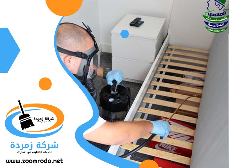 شركة مكافحة حشرات في أم هرير