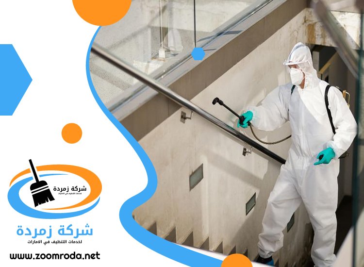 شركة مكافحة حشرات في البدع