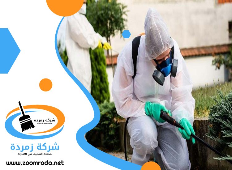 شركة مكافحة حشرات في إعمار