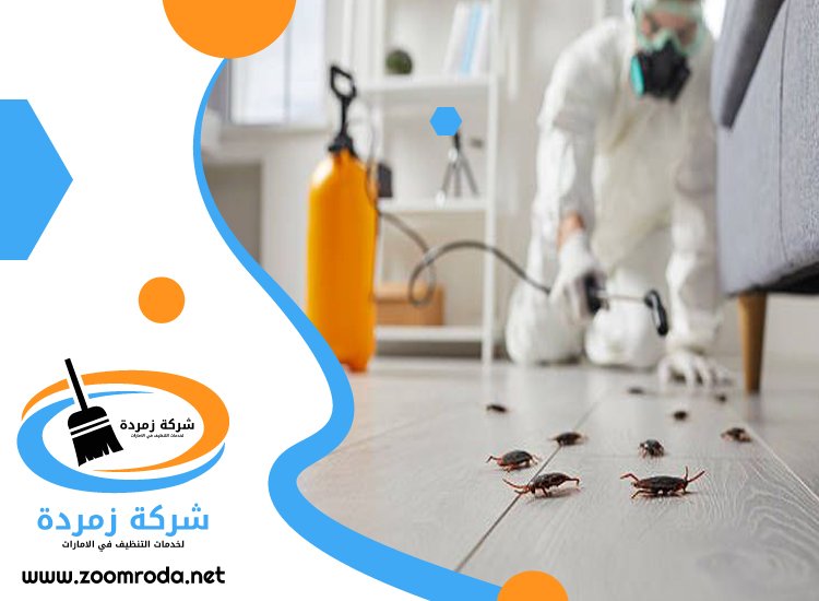 شركة مكافحة حشرات في مردف