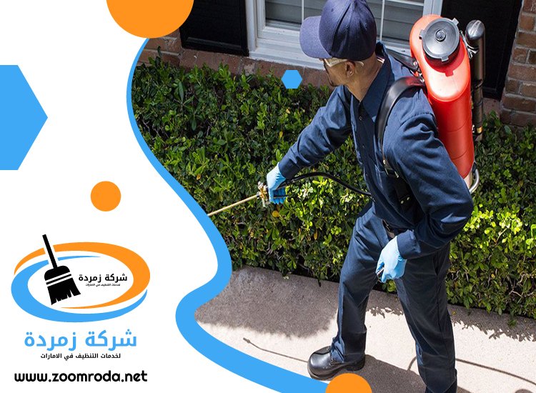 شركة مكافحة حشرات في الجافلية