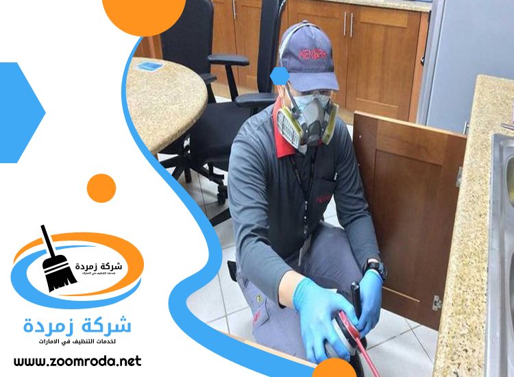 شركة مكافحة حشرات في الجافلية