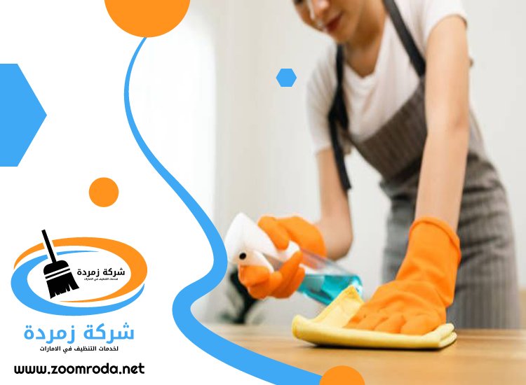 شركة تنظيف في البدية