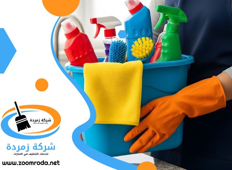 شركة تنظيف في البدية