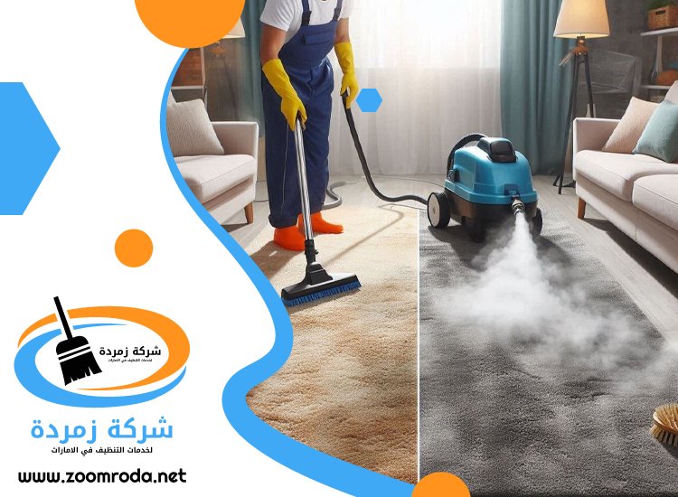 شركة تنظيف في بالميرا