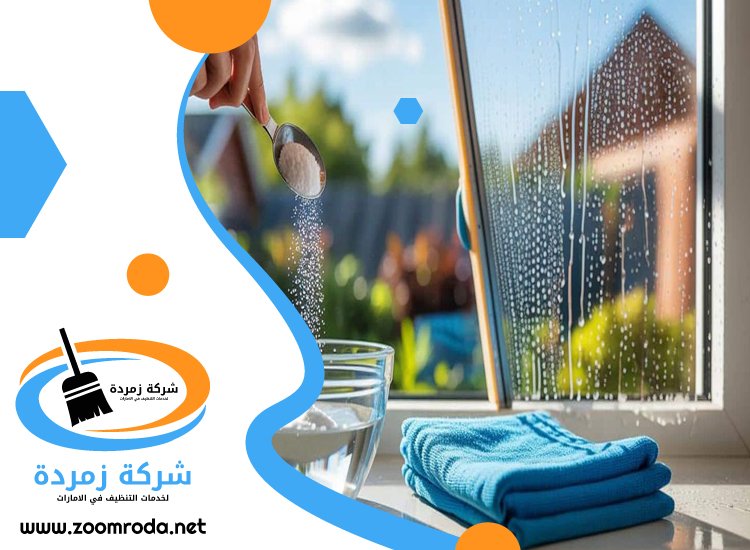 شركة تنظيف في ميرا
