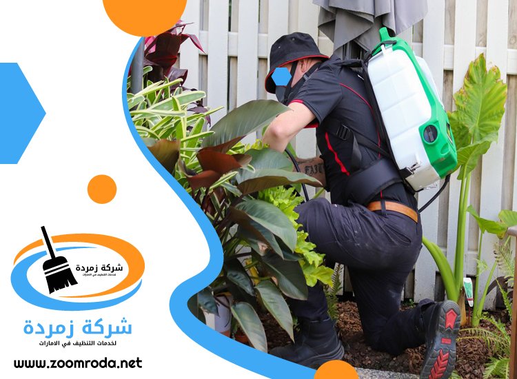 شركة مكافحة حشرات في الروضة