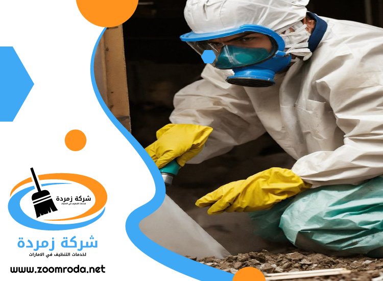 شركة مكافحة حشرات في السهول