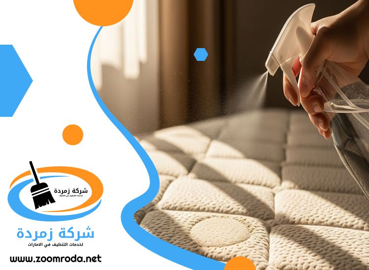 شركة تنظيف مراتب في العين