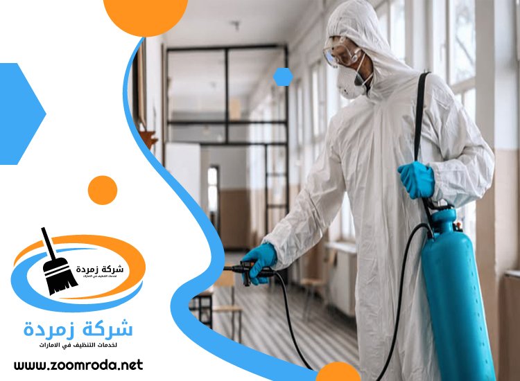 شركة مكافحة حشرات في السوق الكبير