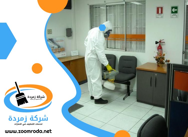 شركة مكافحة حشرات في السوق الكبير