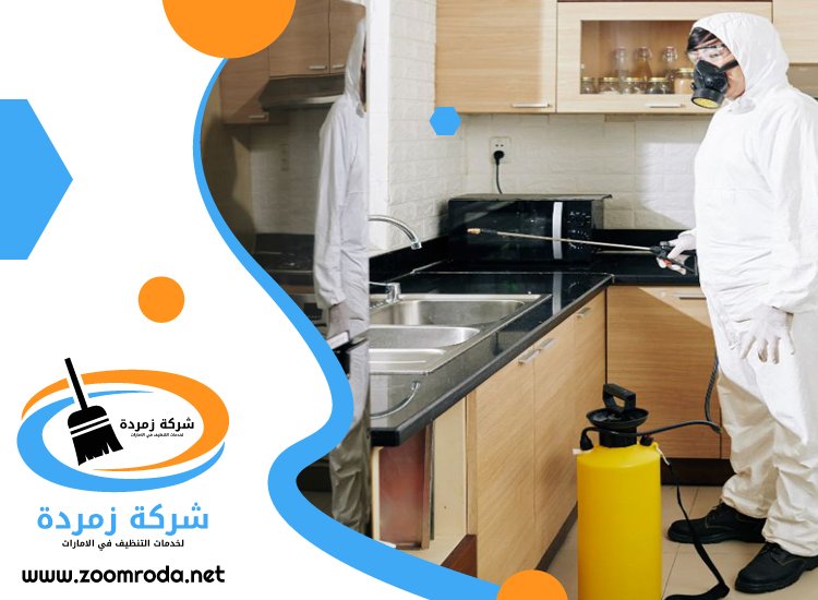 شركة مكافحة حشرات في السوق الكبير