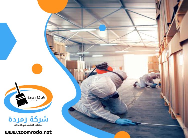 شركة مكافحة حشرات في الصفوح