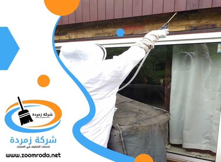 شركة مكافحة حشرات في الصفوح