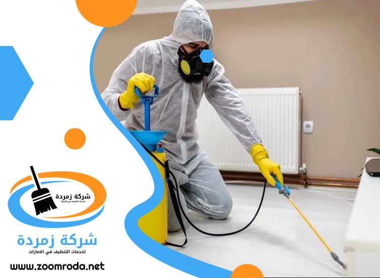 شركة مكافحة حشرات في الحمرية