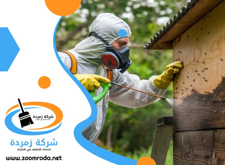 شركة مكافحة حشرات في الفرجان