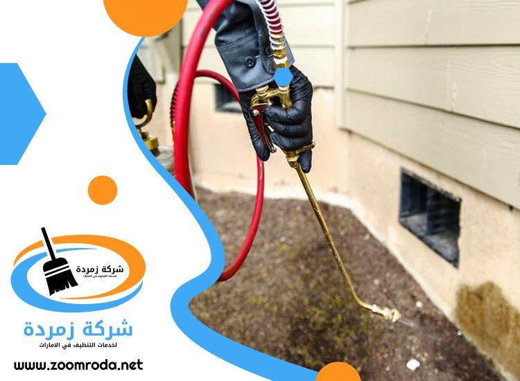 شركة مكافحة حشرات في الفرجان