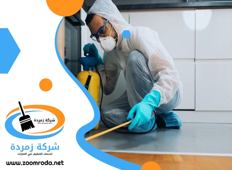 شركة مكافحة حشرات في القصيص