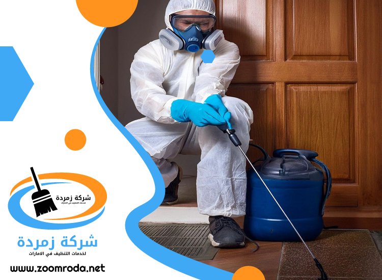 شركة مكافحة حشرات في القصيص