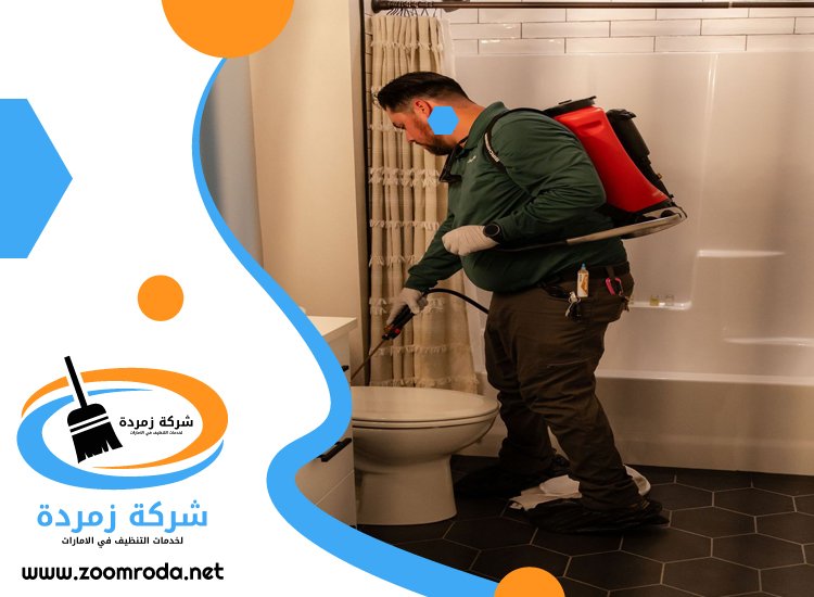 شركة مكافحة حشرات في الصفا
