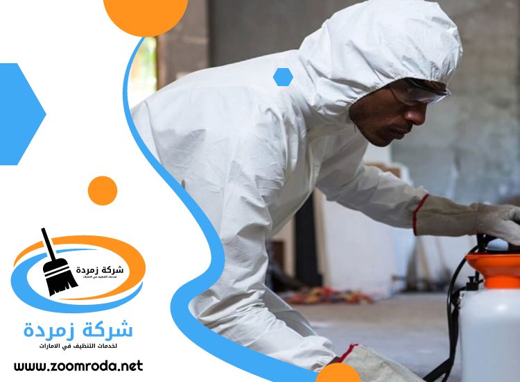 شركة مكافحة حشرات في القوز